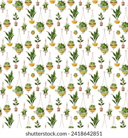 Seamless pattern. Houseplant and macrame plant growing in pots. Set of handmade home decorations macrame plants isolated on white background. Cartoon flat illustration