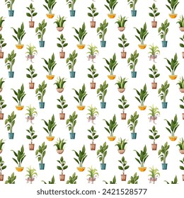 Seamless pattern. Houseplant plant growing in pots. Set of handmade home plants isolated on white background. Cartoon flat illustration