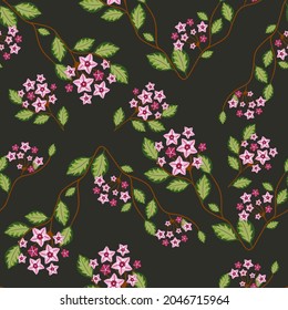 Seamless pattern with hoya home flower. Botanical vector illustration. Floral design for textile, fabric and wallpaper.