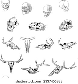 Seamless pattern of human, lion, cow and moose skulls. Vector illustration. Hand drawn style.