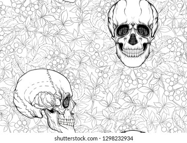 Seamless Pattern with human skulls and  plants. Colored vector illustration. Line art.