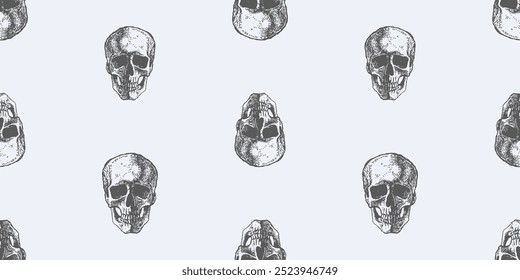 Patrón sin fisuras de bocetos de cráneos humanos, dibujos a mano realistas, fondos, Fondo de pantalla, papel, textil, Ilustración vectorial