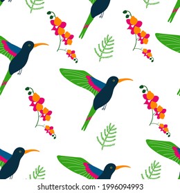 Caricatura de pájaro colibrí de patrón sin foco, hoja decorativa, flor de orquídea, ilustración de vector Cute aislada sobre fondo blanco, fondo exótico decorativo, animales salvajes para papel tapiz de diseño