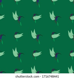 patrón transparente, colibrí sobre fondo verde, ilustración vectorial