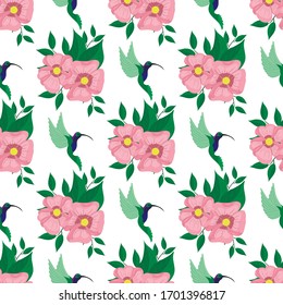 Patrón sin soldadura, colibrí y flores rosas con hojas verdes, ilustración vectorial