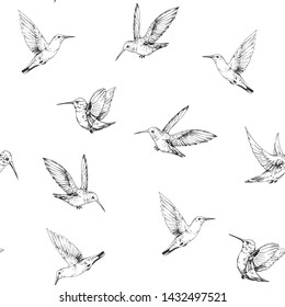 Seamless pattern with hummingbirds. Hand drawn vector illustration