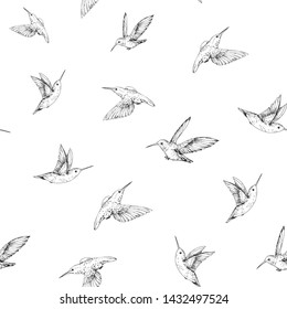 Seamless pattern with hummingbirds. Hand drawn vector illustration