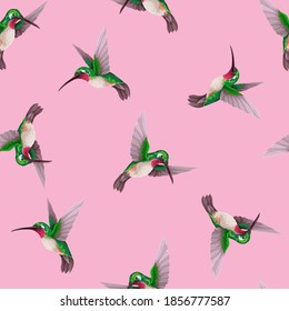 Seamless pattern with hummingbirds. Trendy vector print