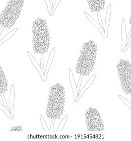 Seamless pattern hyacinths flowers black and white colors vector illustration