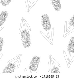 Seamless pattern hyacinths flowers black and white colors. Botanical colourful vector illustration