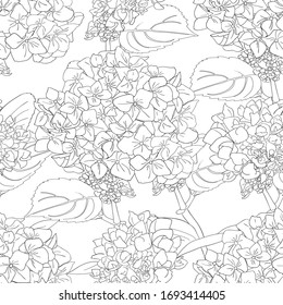 Seamless pattern with hydrangea. Flowers, leaves on white background. Abstract monchrome pattern  in floral style. Idea for material, scarf, fabric, textile, wallpaper, wrapping paper. Vector.