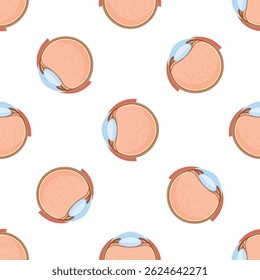 Patrón transparente que ilustra la anatomía de un globo ocular humano, mostrando el cristalino, los vasos sanguíneos y otros componentes