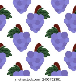seamless pattern of illustration grapes on a white background