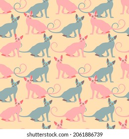 Seamless pattern with the image of bald cats of the Sphinx breed. Design for textile and wallpaper decoration.