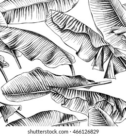 banana leaf drawing