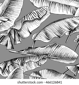 Seamless pattern with image of a Banana leaves. Vector black and white illustration.