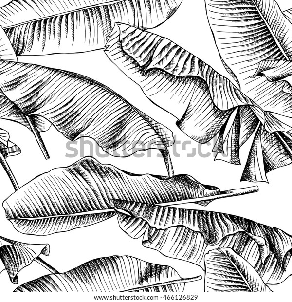 バナナの葉の画像を使ったシームレスなパターン 白黒のベクター画像イラスト のベクター画像素材 ロイヤリティフリー
