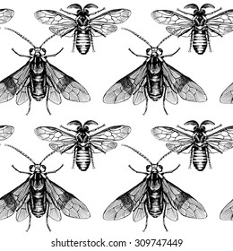 Seamless pattern with image of bee and wasp on a gray background. Vector black and white illustration.