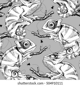 Seamless pattern with image of a Chameleon on a branch with fly. Vector black and white  illustration.