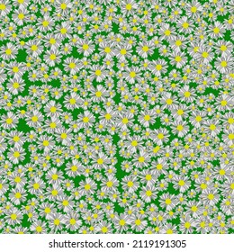 Seamless pattern. Image of a chamomile field. Suitable for printing.