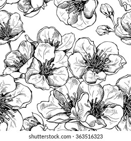 Seamless pattern with image of a cherry flowers. Vector illustration.