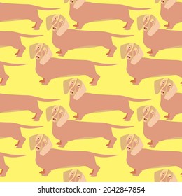 seamless pattern with the image of a dog, a dachshund. 