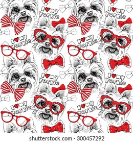 Seamless pattern with image of a dog York, bows, glasses, tie. Vector illustration.