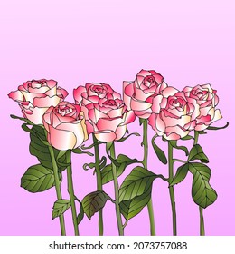 Patrón sin foco con la imagen de flores de rosas rosadas en un fondo rosado. Ilustración del vector