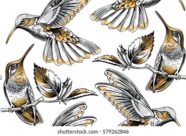 Seamless pattern with image gold Hummingbird on a white background. Vector illustration.