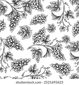 Seamless pattern with the image of grapes and vines. A graphic vector illustration drawn by hand. On a white background. For packaging and label design. For banners, textiles and more.