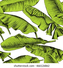 Seamless pattern with image of a green Banana leaves. Vector illustration.