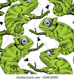 Seamless pattern with image of a green Chameleon on a branch with fly. Vector illustration.