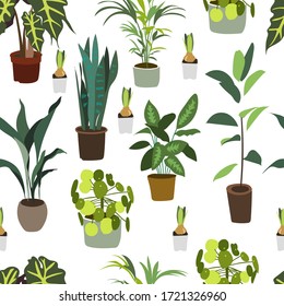 Seamless pattern with the image of indoor ornamental plants on a white background. A variety of homemade flowers. The concept of home gardening, plant care. Vector drawing.