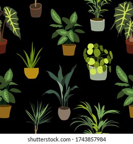 Patrón sin foco con la imagen de plantas ornamentales interiores sobre un fondo negro. Una variedad de flores caseras. El concepto de jardinería doméstica, cuidado de plantas. Dibujo de vectores.