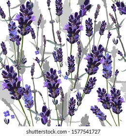 Seamless pattern with the image of lavender and wildflowers and herbs. Plants and their silhouettes are randomly and saturated on a white background. Vector for print, textile, wallpaper, tile