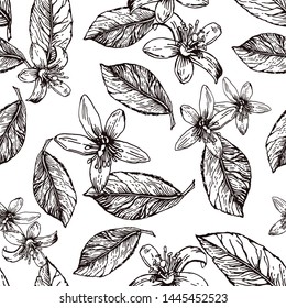 Seamless pattern with the image of leaves and flowers of lemon. Figure made in the form of a sketch. Black and white image.