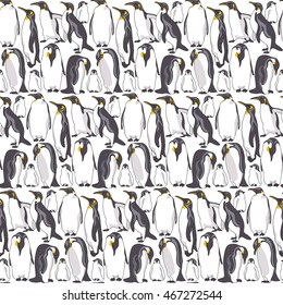 Seamless pattern with image of a many Emperor penguin on a white background. Vector illustration.