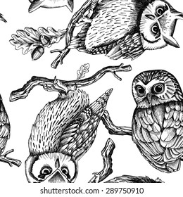 Seamless pattern with image owls on a oak branches. Vector black and white illustration.