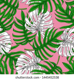 Seamless pattern with the image of palm leaves. Green and white leaves of Monstera on a pink background.