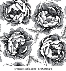 Seamless pattern with image of a Peony Cytherea. Vector black and white illustration.
