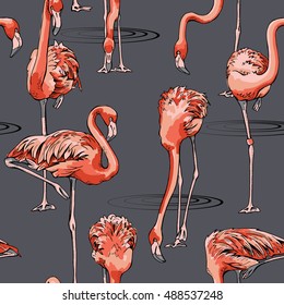 Seamless pattern with image of a pink Flamingo on a gray background. Vector illustration.
