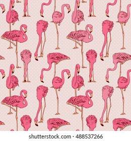 Seamless pattern with image of a pink Flamingo on a beige background. Vector illustration.