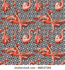 Seamless pattern with image of a pink Flamingo on a geometric background. Vector illustration.