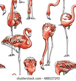 Seamless pattern with image of a pink Flamingo on a white background. Vector illustration.