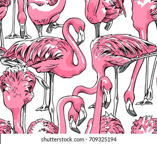 Seamless pattern with image of a pink Flamingo. Vector illustration.