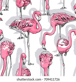 Seamless pattern with image of a pink Flamingo. Vector illustration.