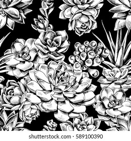 Seamless pattern with image Succulents plants on a black background. Vector illustration.