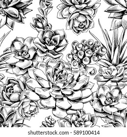 Seamless pattern with image Succulents plants on a white background. Vector illustration.