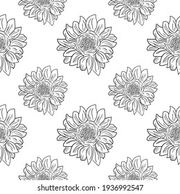 Seamless pattern with the image of a sunflower in the sketch style. Black and white print. Design for textiles, paper and decor.