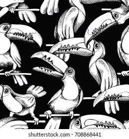 Seamless pattern with image of a Toucan birds on a perch. Vector black and white illustration.